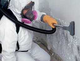 Best Asbestos and Lead Testing During Mold Inspection  in Plant City, FL